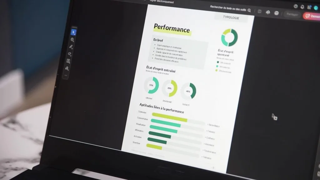 performance mental kzen